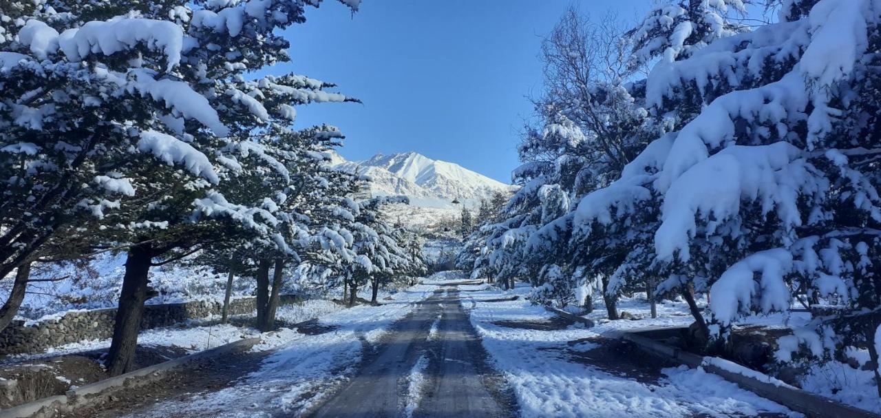 Cabanas El Fogon Potrerillos Kültér fotó